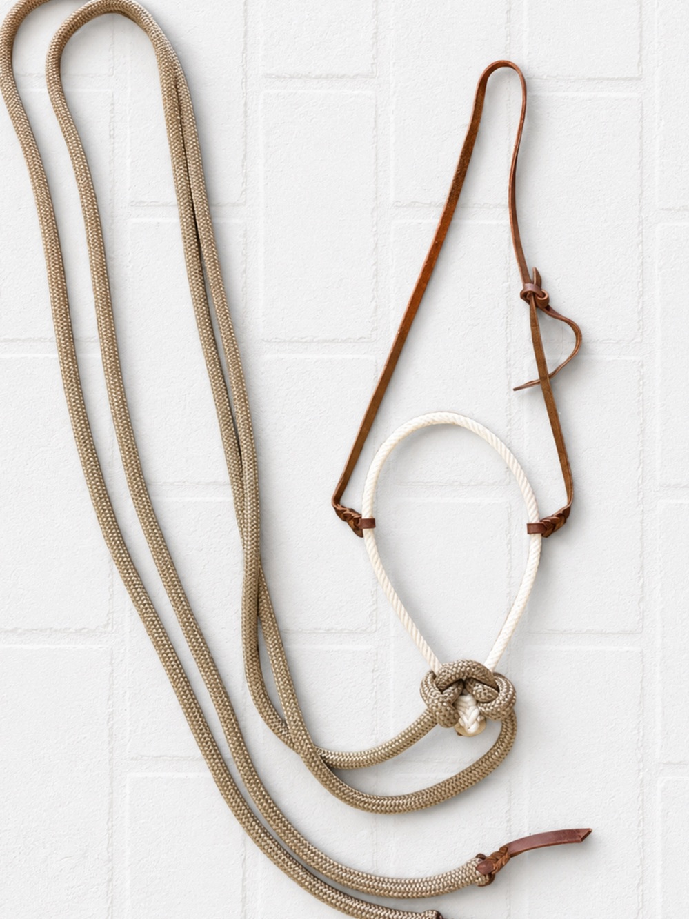 Western Bosal hackamore